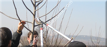 x.jpg
